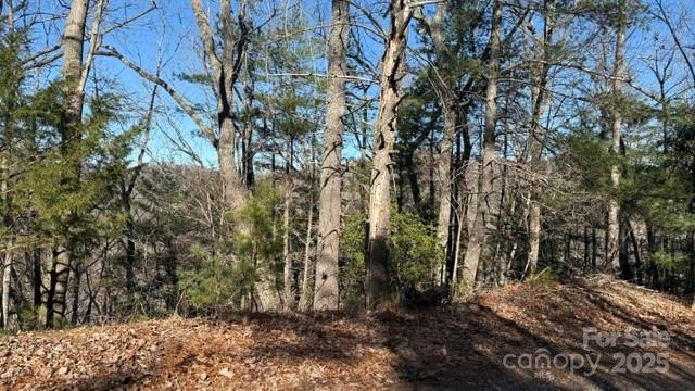 Lot at 0 Bird Dog Boulevard, Lake Lure, photo 22 of 23