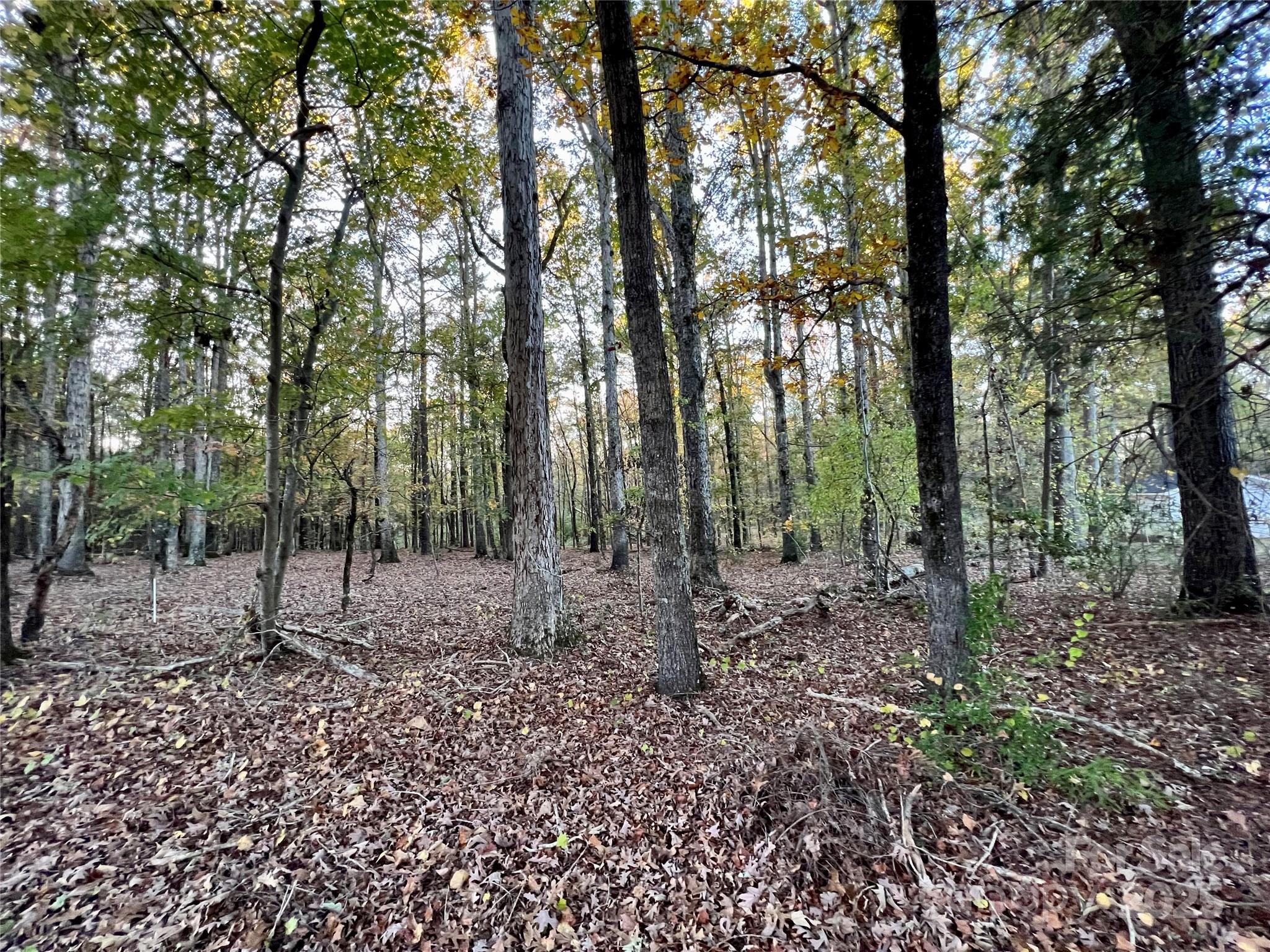 Acreage at 00 Charlotte Highway, Lancaster, photo 3 of 15