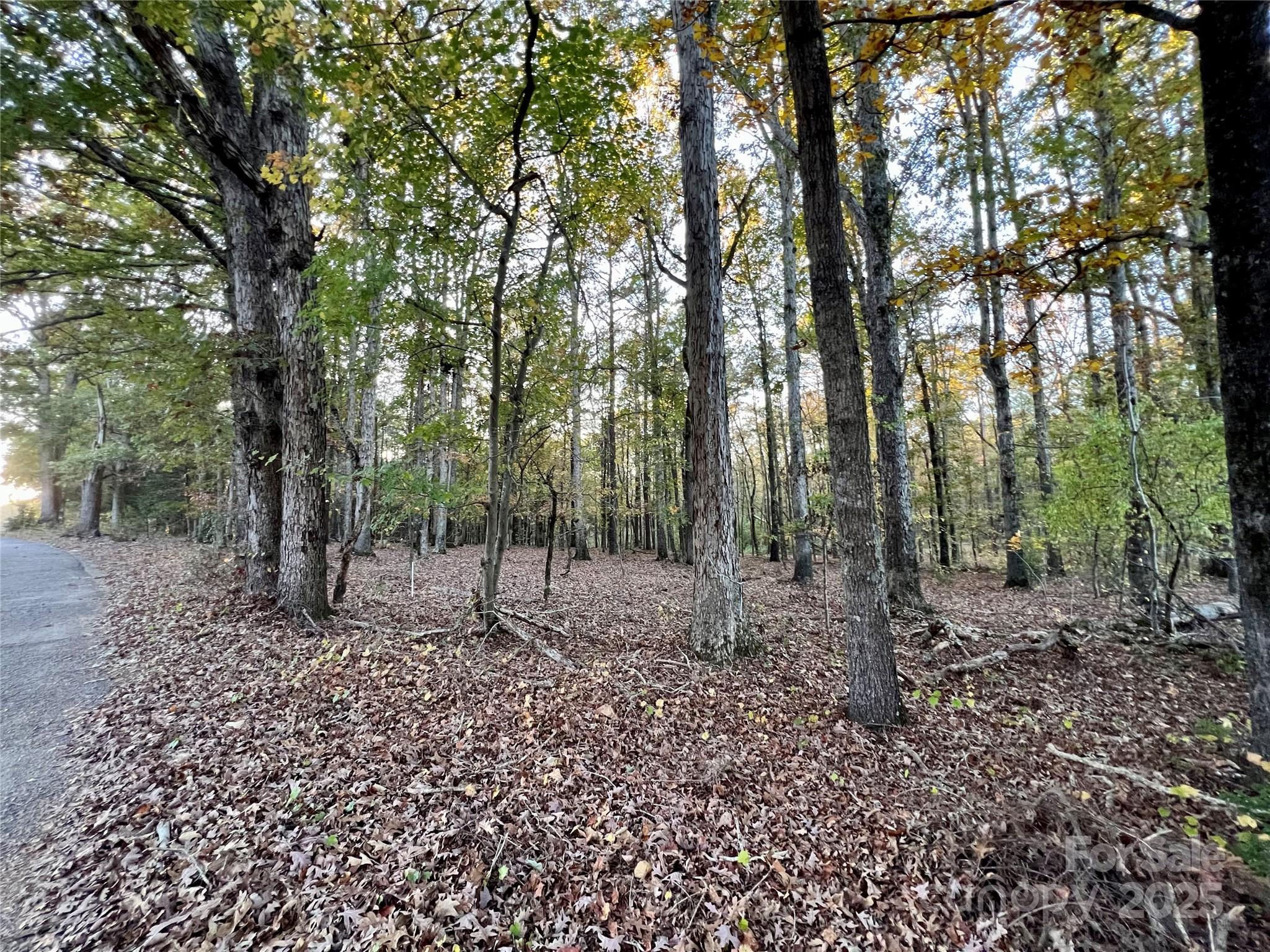 Acreage at 00 Charlotte Highway, Lancaster, photo 6 of 15