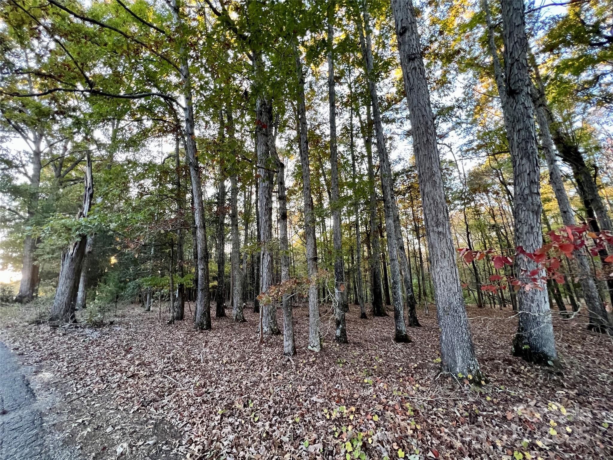 Acreage at 00 Charlotte Highway, Lancaster, photo 7 of 15