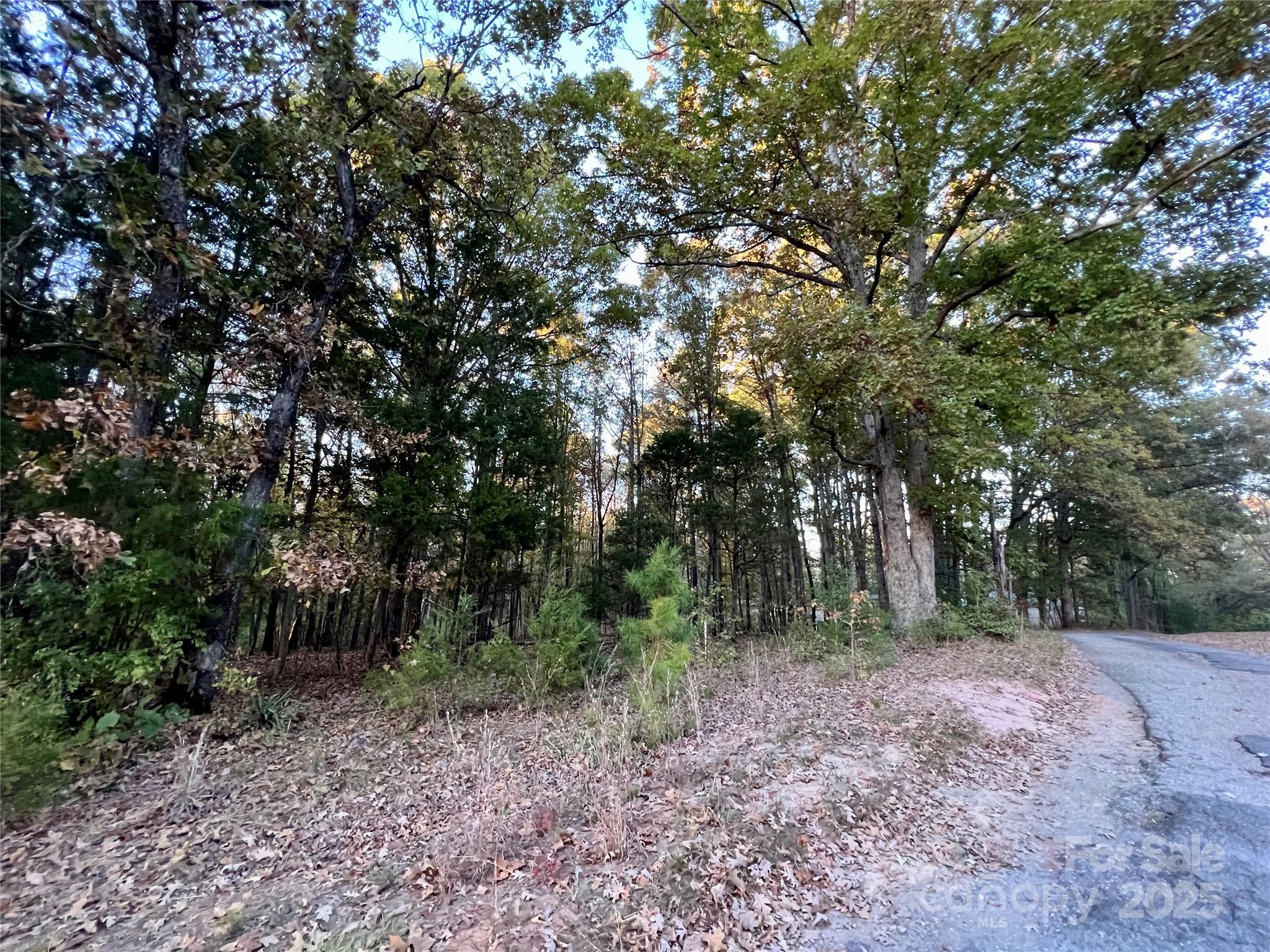 Acreage at 00 Charlotte Highway, Lancaster, photo 14 of 15