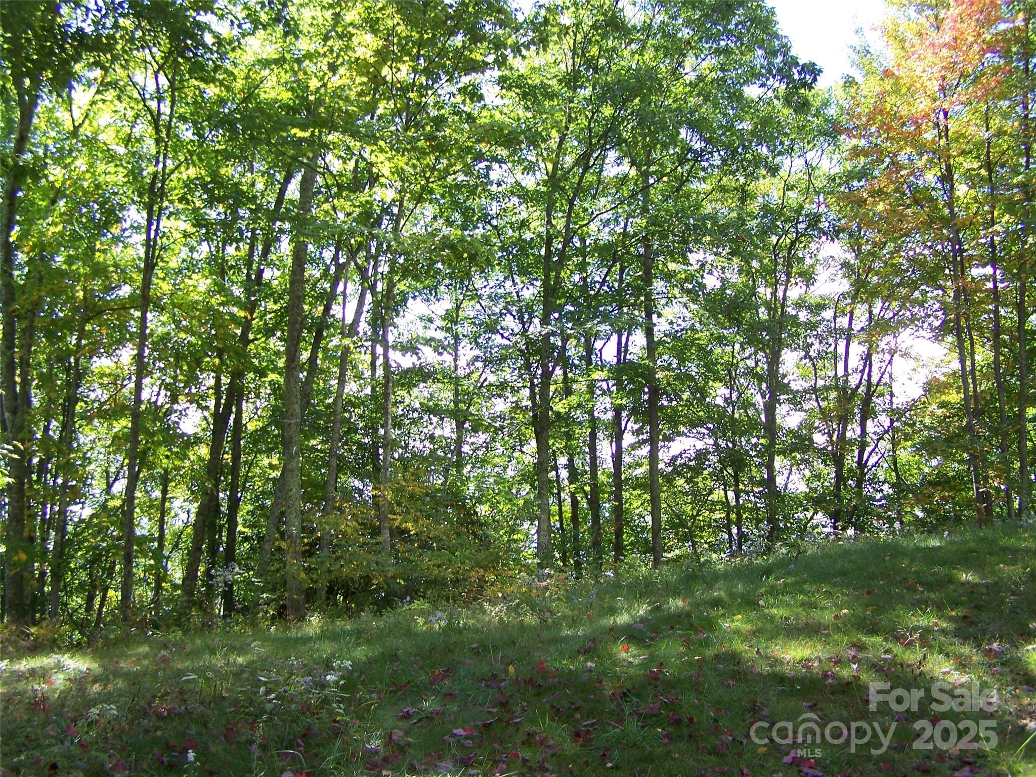 Acreage at 000 Fie Top Road, Maggie Valley, photo 2 of 41