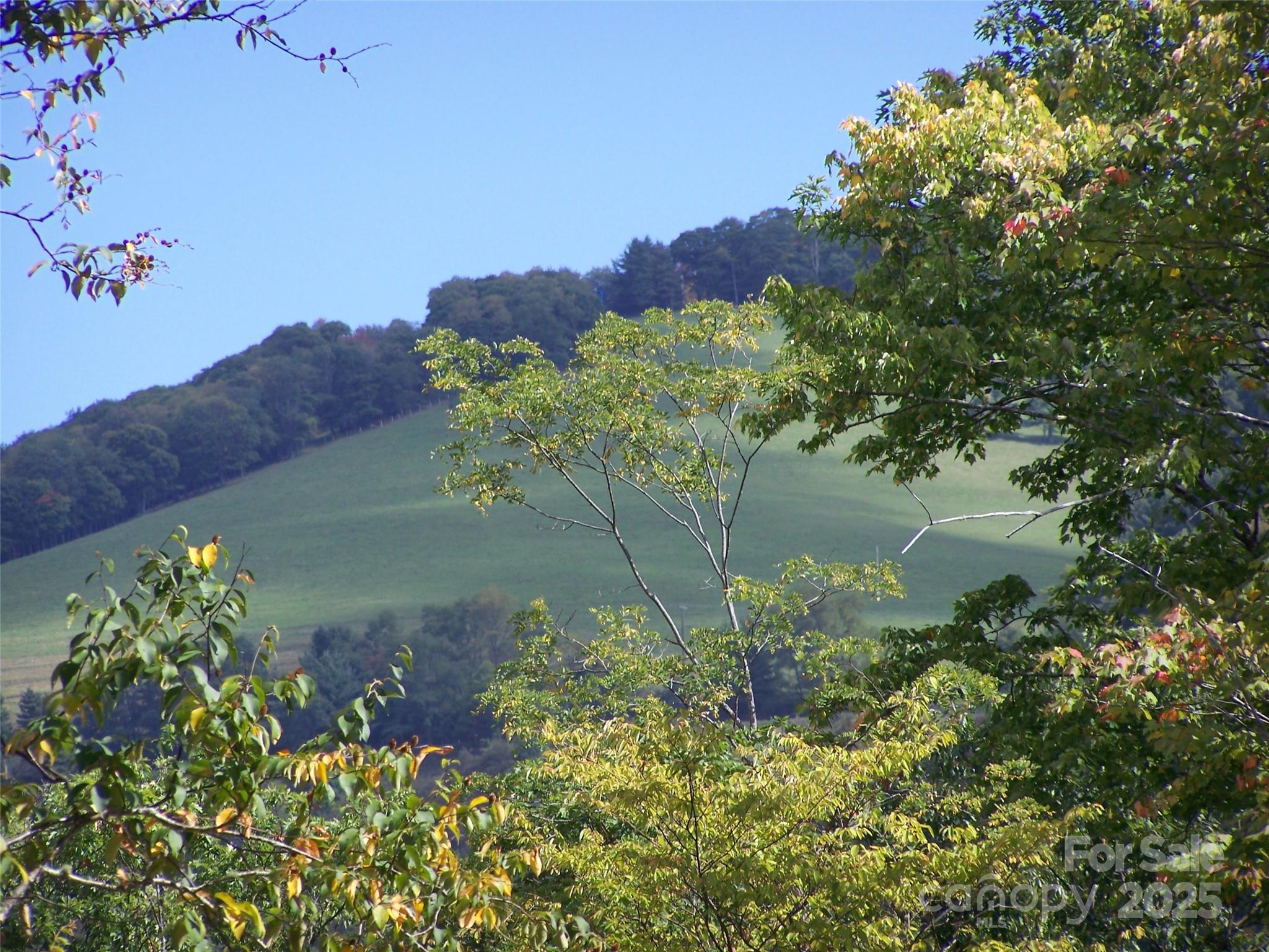 Acreage at 000 Fie Top Road, Maggie Valley, photo 4 of 41