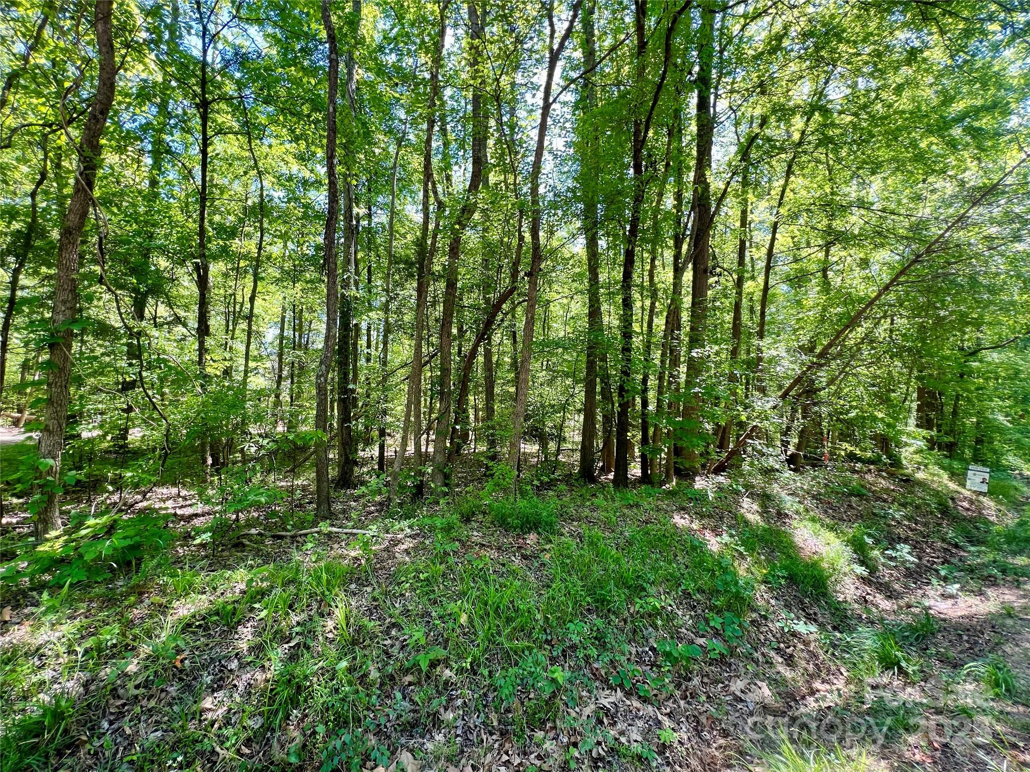 Acreage at 0 Monroe Highway, Lancaster, photo 5 of 10