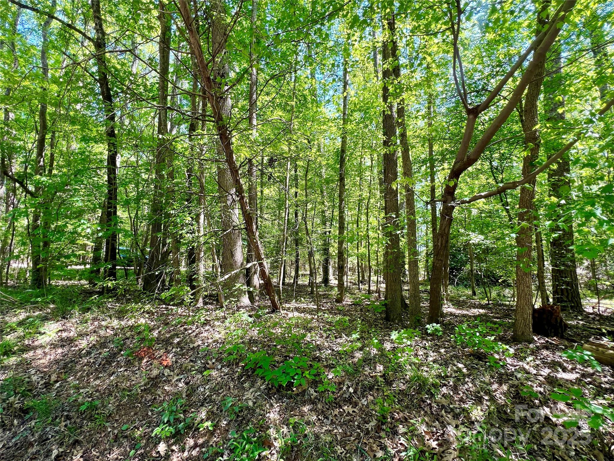 Acreage at 0 Monroe Highway, Lancaster, photo 6 of 10