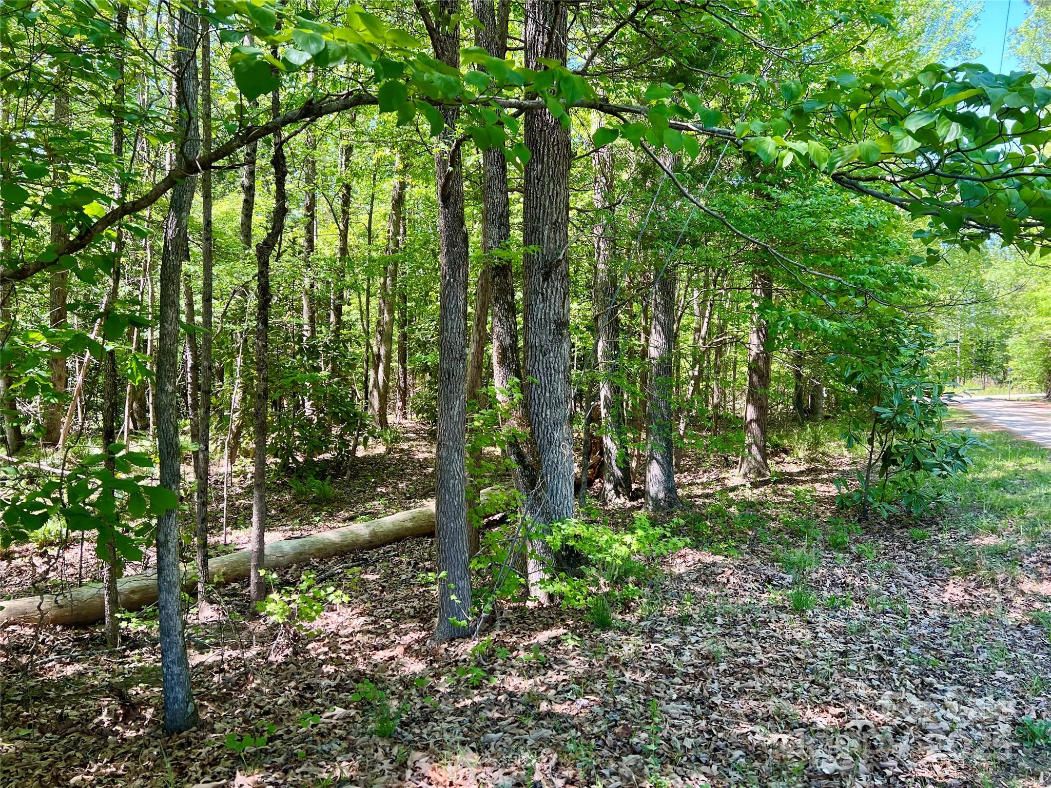 Acreage at 0 Monroe Highway, Lancaster, photo 8 of 10