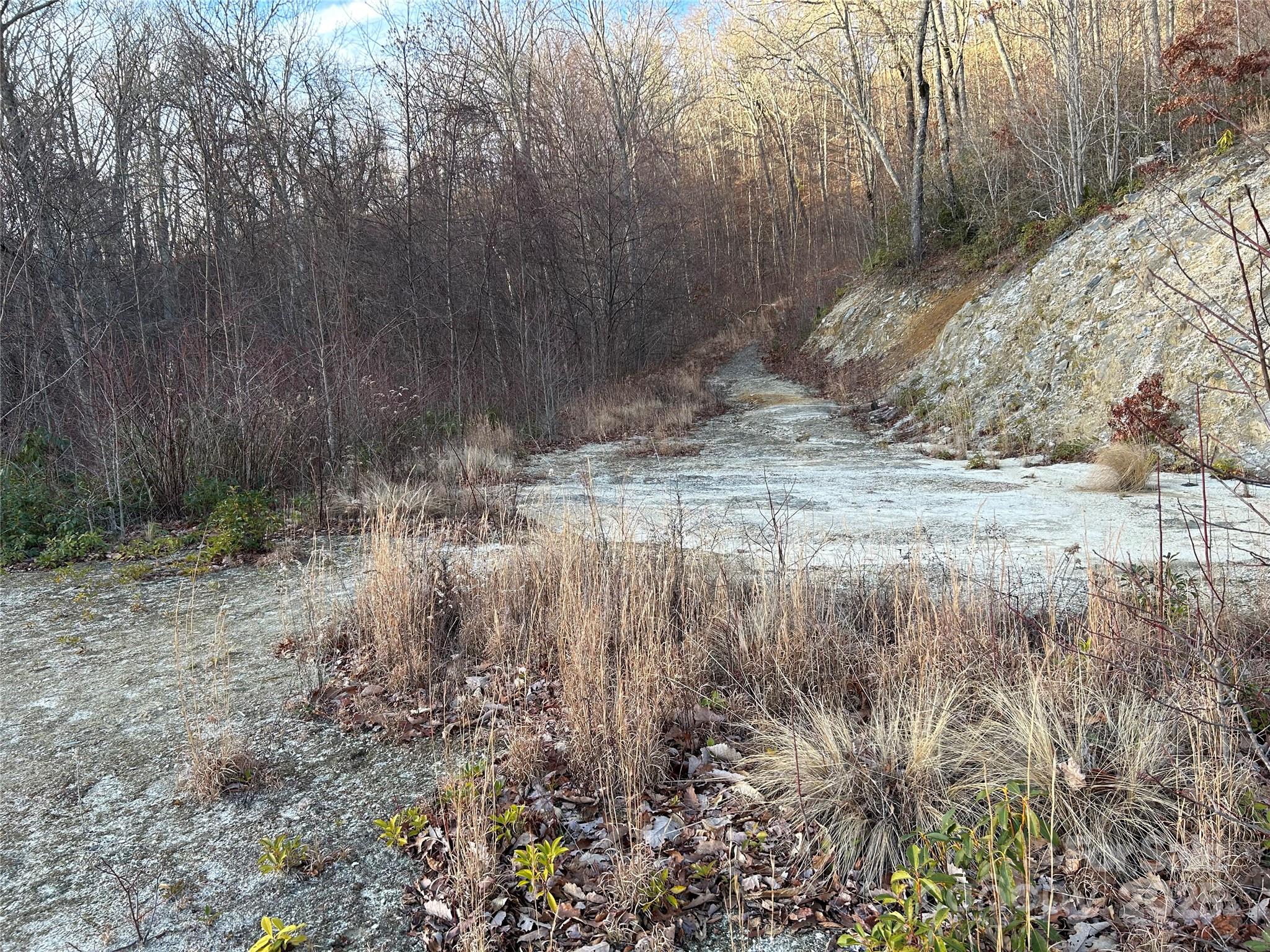 Lot at Lot 74 Freedom Way, Bryson City, photo 3 of 4