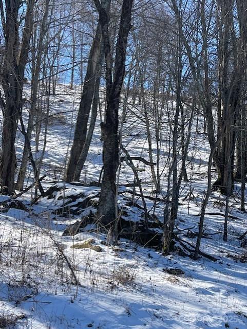 Lot at 00 Wandering Trail, Waynesville, photo 2 of 22