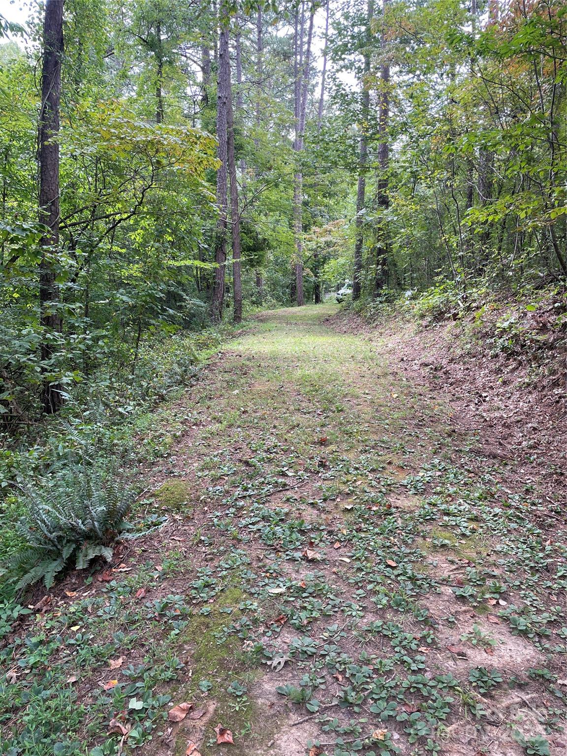 Acreage at 99999 Monticello Road, Weaverville, photo 3 of 25