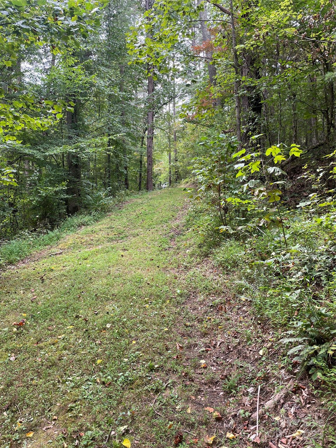 Acreage at 99999 Monticello Road, Weaverville, photo 5 of 25