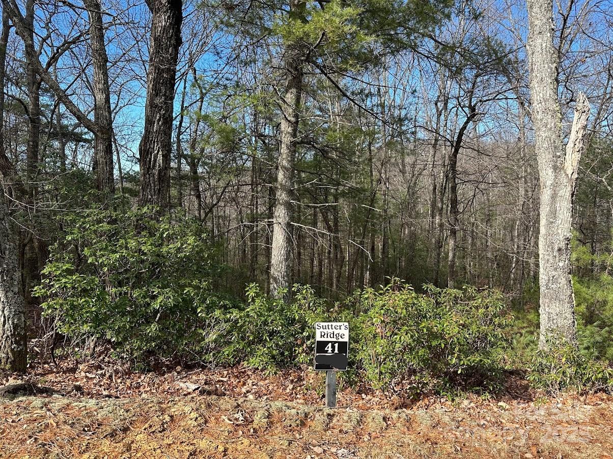 LT41 Sutters Ridge Road
