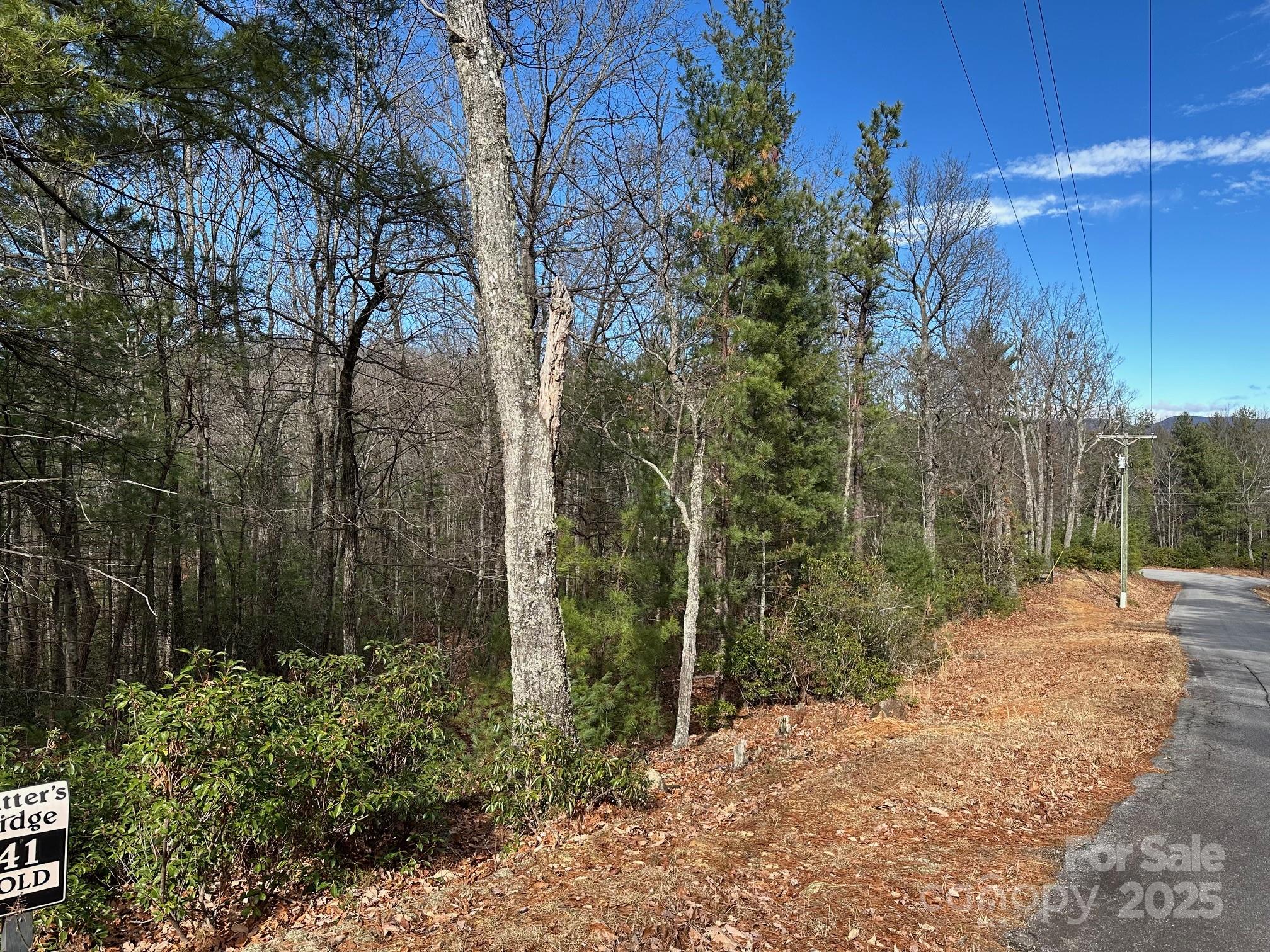 Lot at LT41 Sutters Ridge Road, McGrady, photo 2 of 7