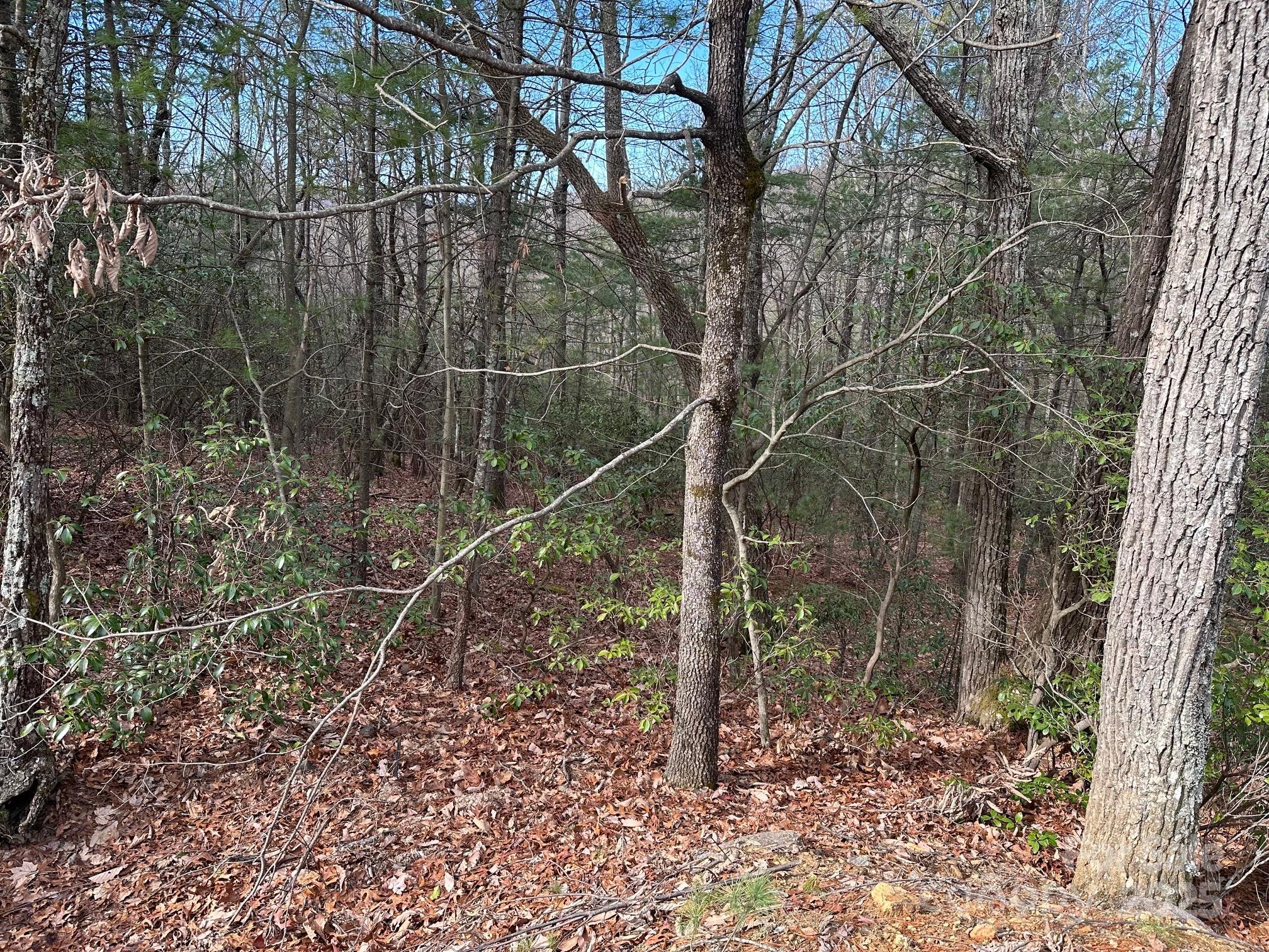Lot at LT41 Sutters Ridge Road, McGrady, photo 3 of 7