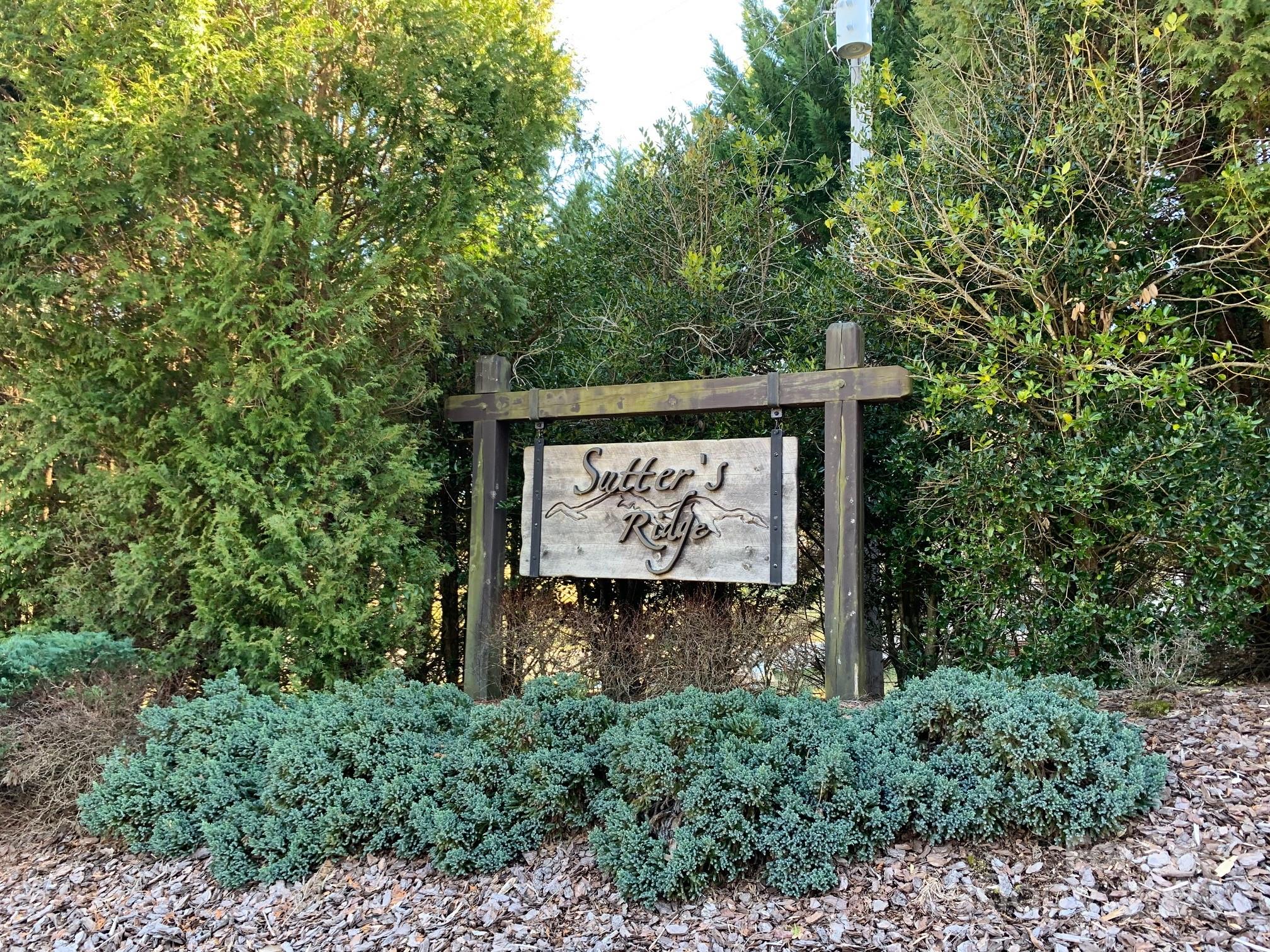 Lot at LT41 Sutters Ridge Road, McGrady, photo 6 of 7