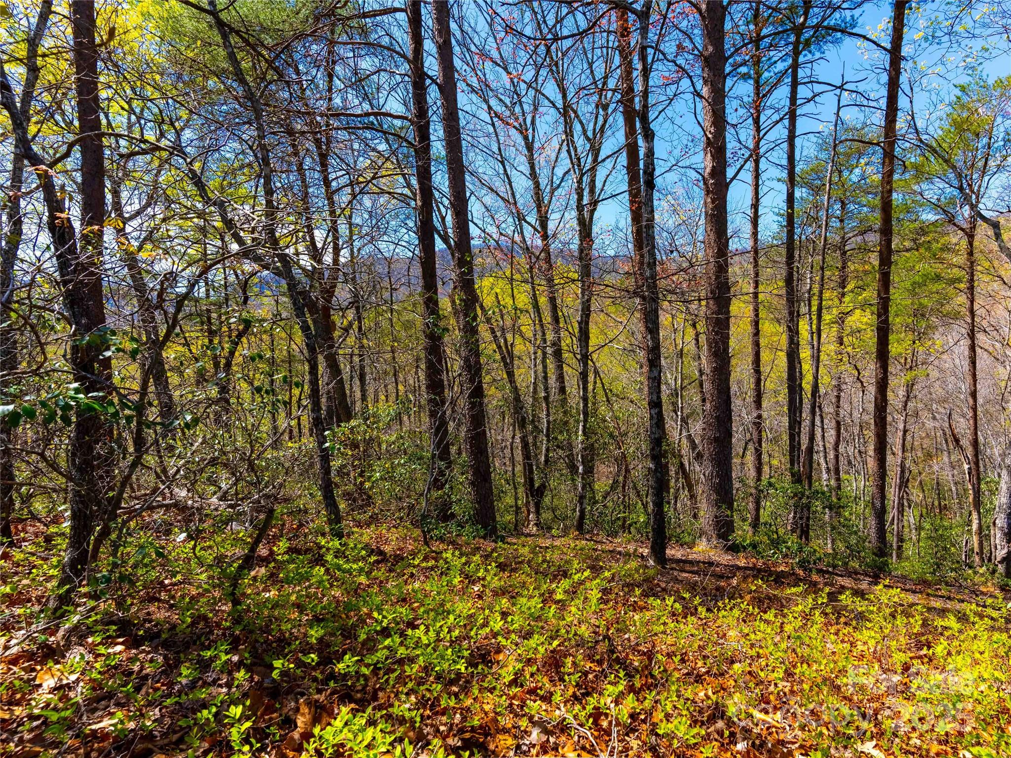 107 Deep Gap Road E