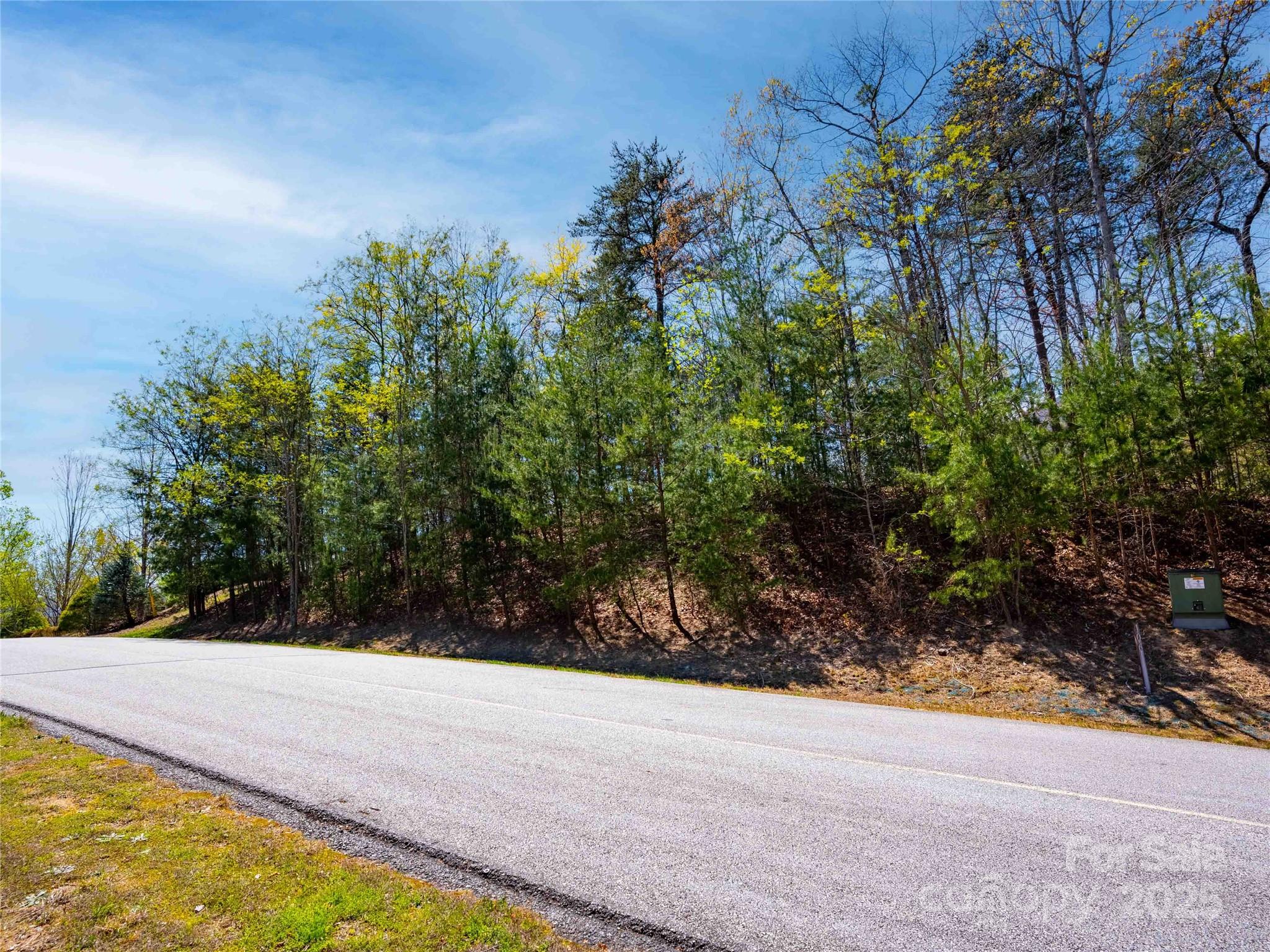 Lot at 107 Deep Gap Road E, Mill Spring, photo 3 of 9