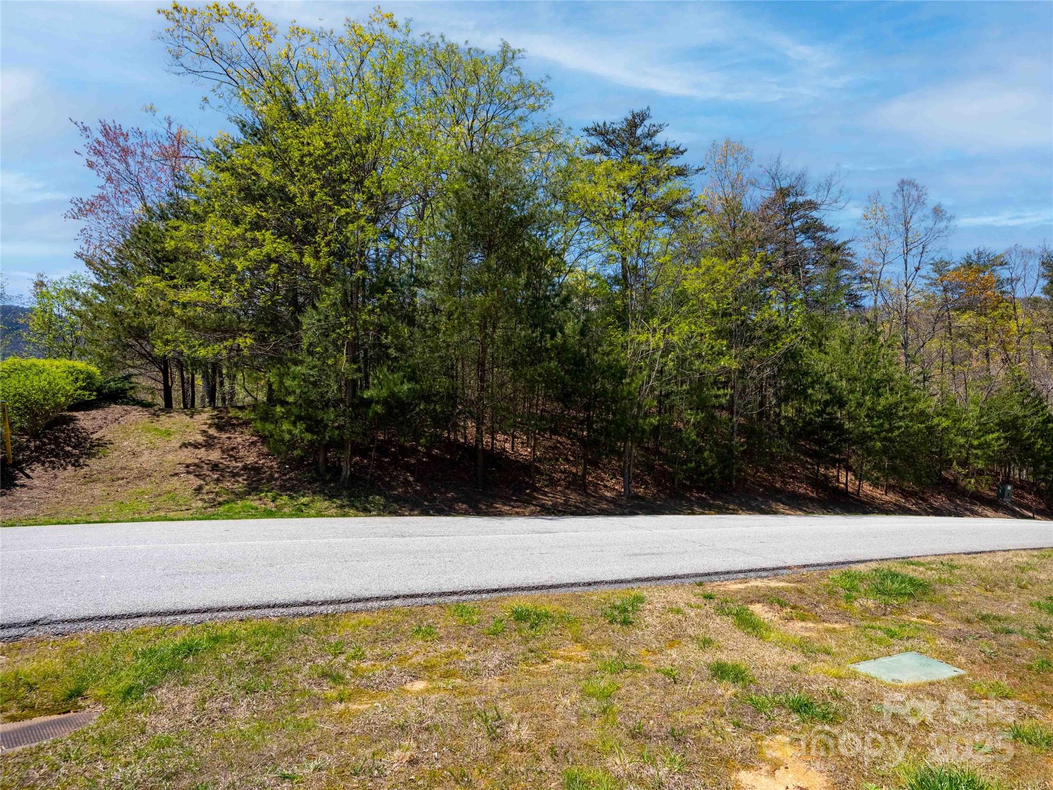 Lot at 107 Deep Gap Road E, Mill Spring, photo 4 of 9