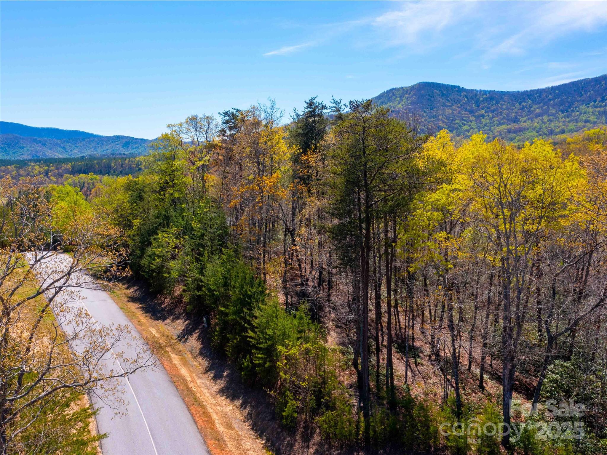 Lot at 107 Deep Gap Road E, Mill Spring, photo 6 of 9