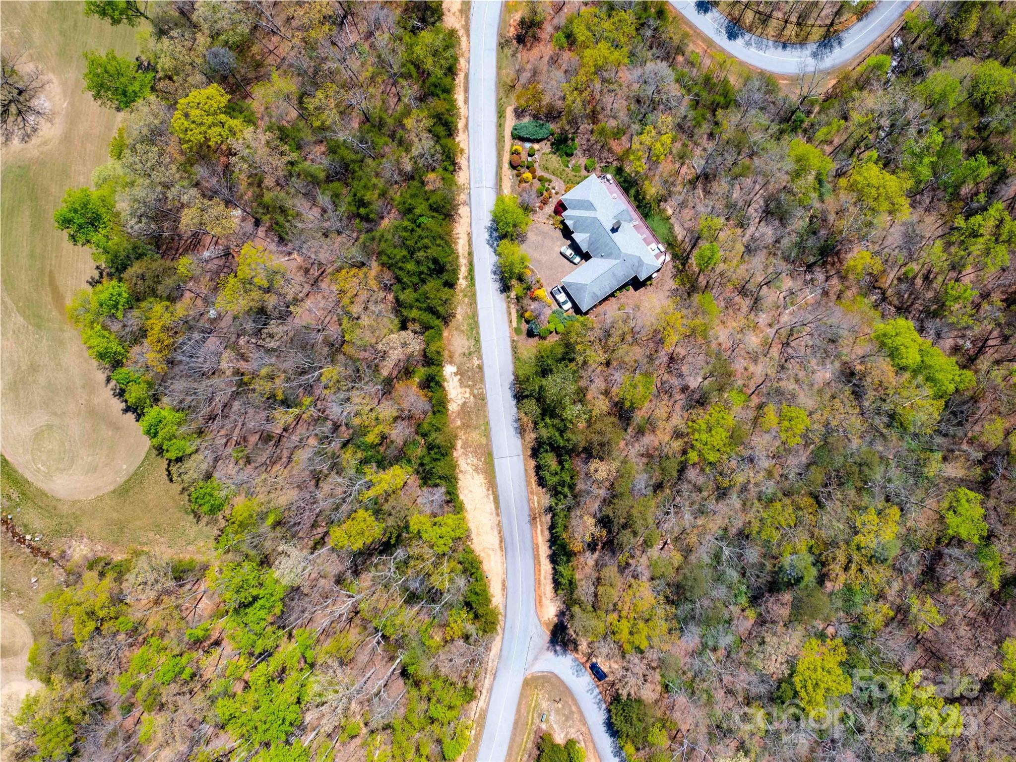 Lot at 107 Deep Gap Road E, Mill Spring, photo 7 of 9