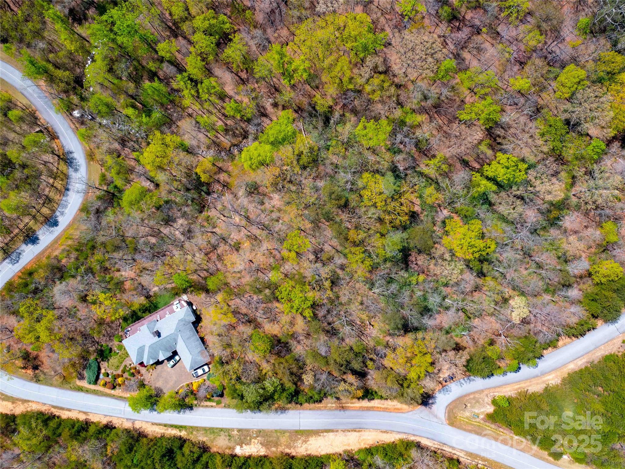 Lot at 107 Deep Gap Road E, Mill Spring, photo 8 of 9