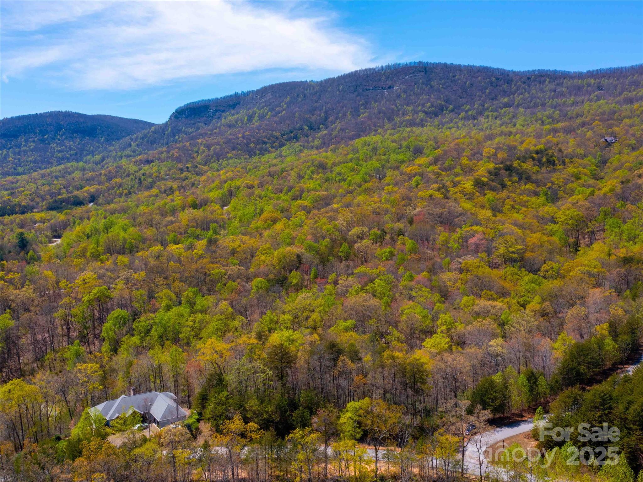 Lot at 107 Deep Gap Road E, Mill Spring, photo 9 of 9