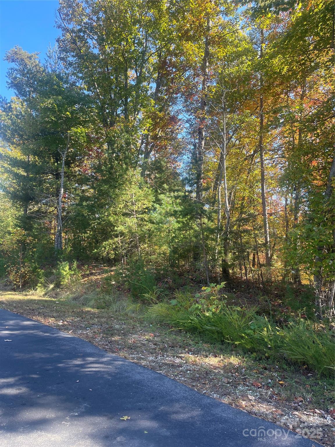 Lot at lot 46 Bald Eagle Lane, Marion, photo 7 of 12
