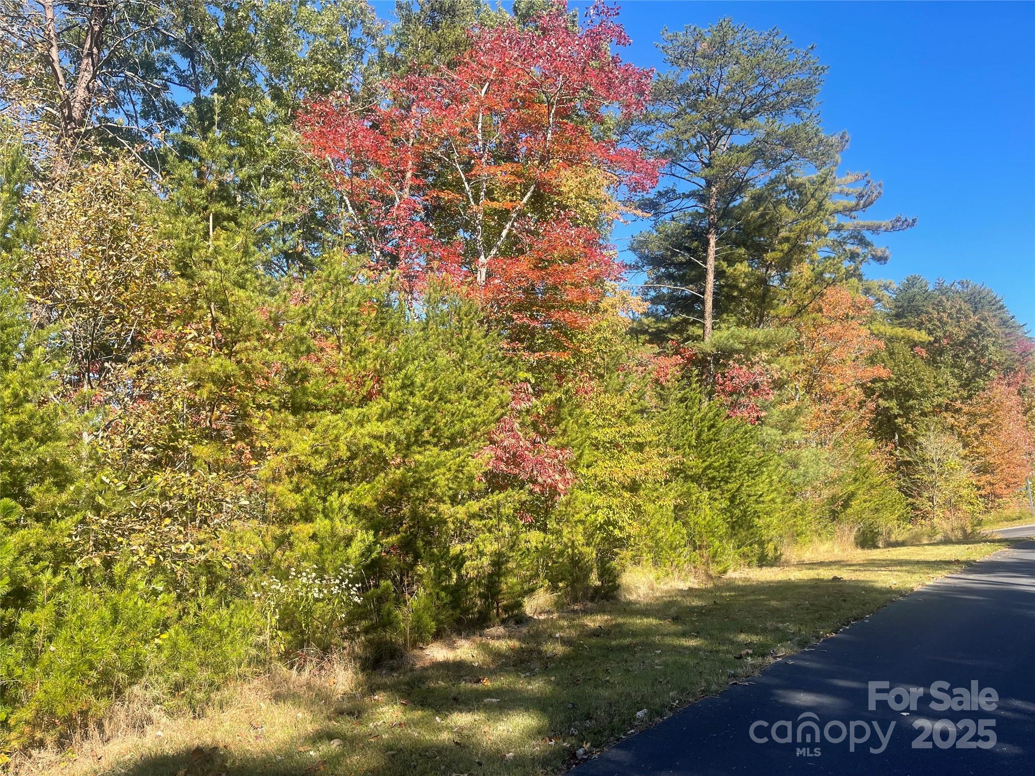Lot at lot 46 Bald Eagle Lane, Marion, photo 8 of 12