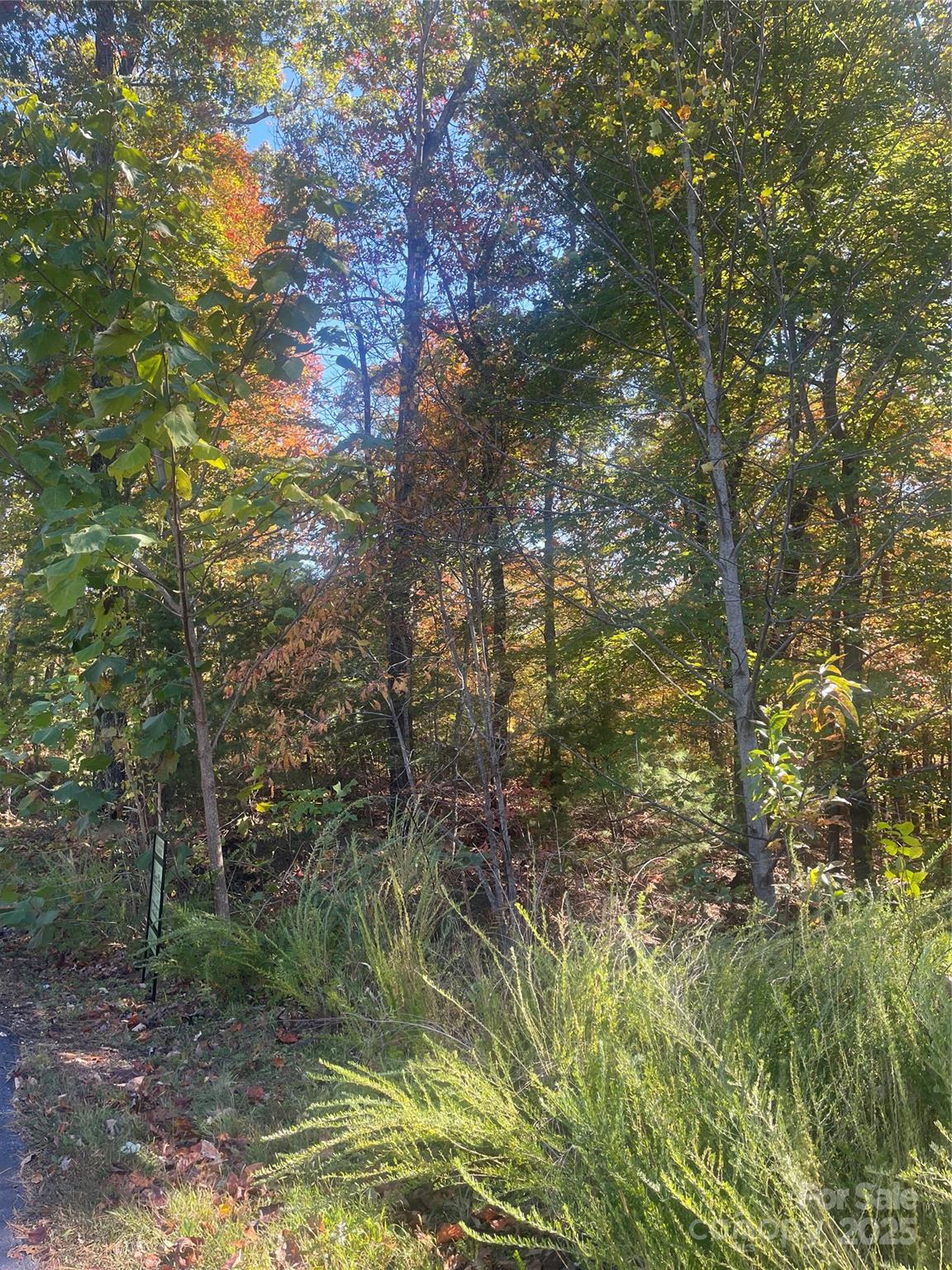 Lot at lot 46 Bald Eagle Lane, Marion, photo 9 of 12