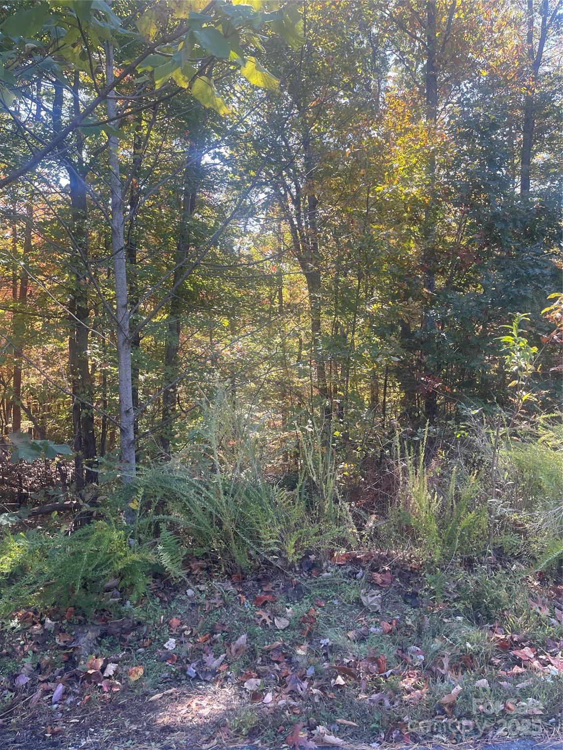 Lot at lot 46 Bald Eagle Lane, Marion, photo 10 of 12