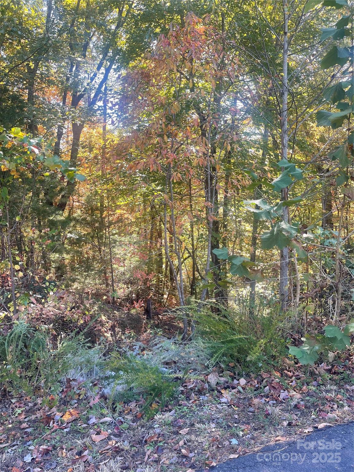 Lot at lot 46 Bald Eagle Lane, Marion, photo 11 of 12