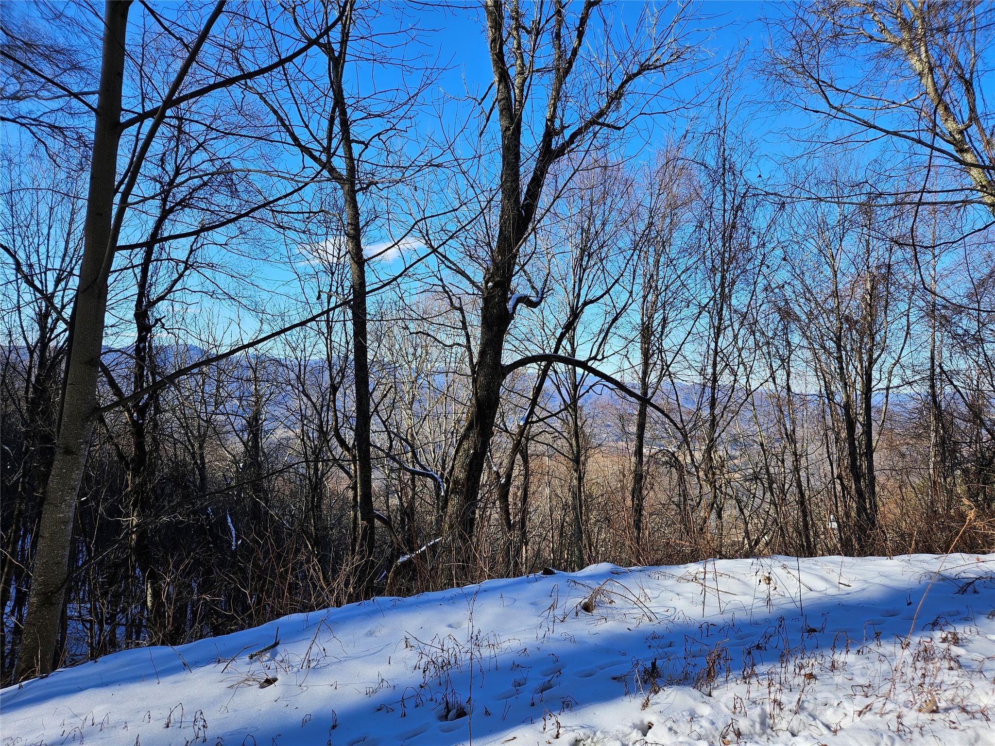 Lot at 00 Marney's Vista Road, Waynesville, photo 2 of 4