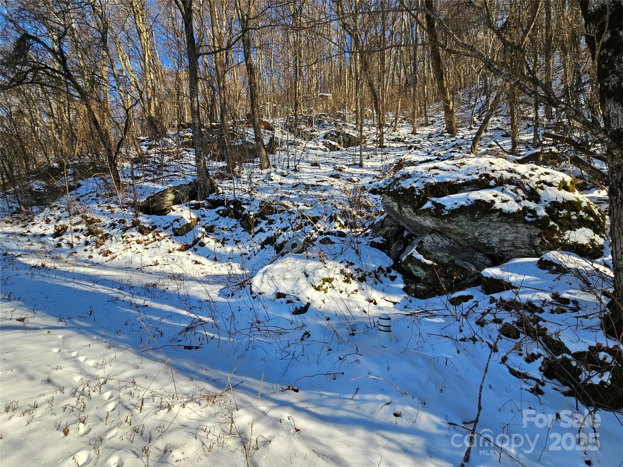 Lot at 00 Marney's Vista Road, Waynesville, photo 4 of 4