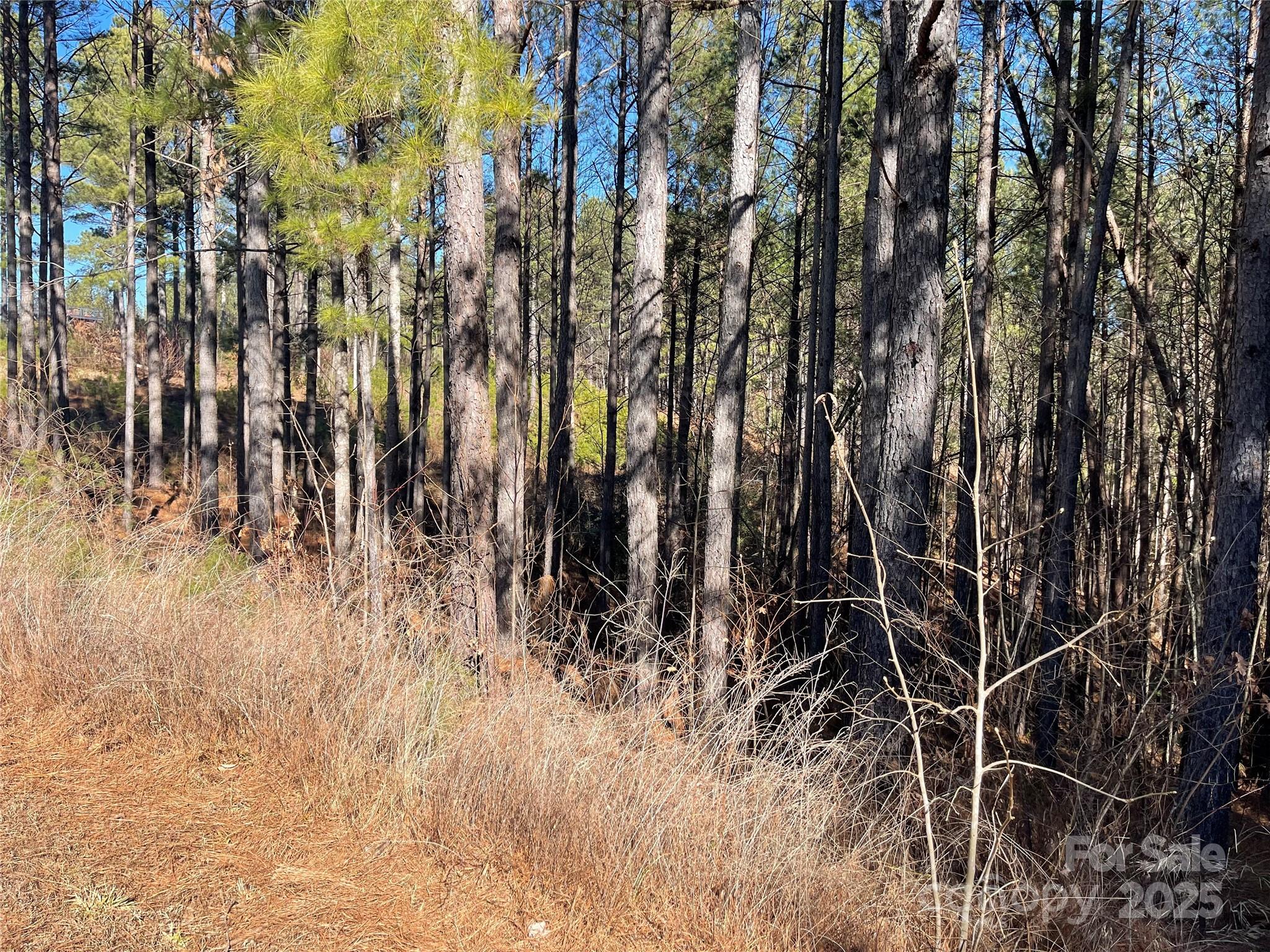 Actual lot. - 109 Shortoff Trail, Valdese