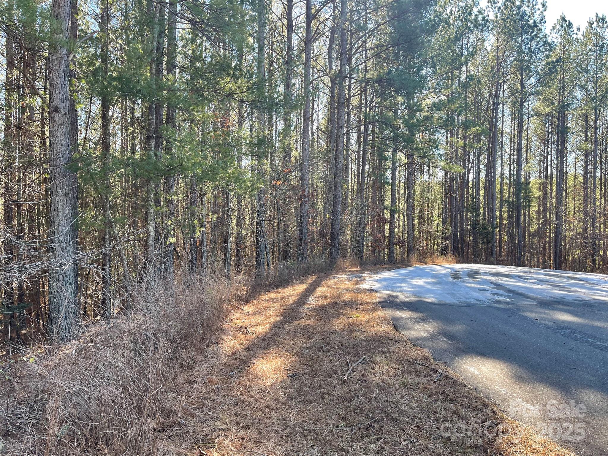 Actual lot. - 109 Shortoff Trail, Valdese