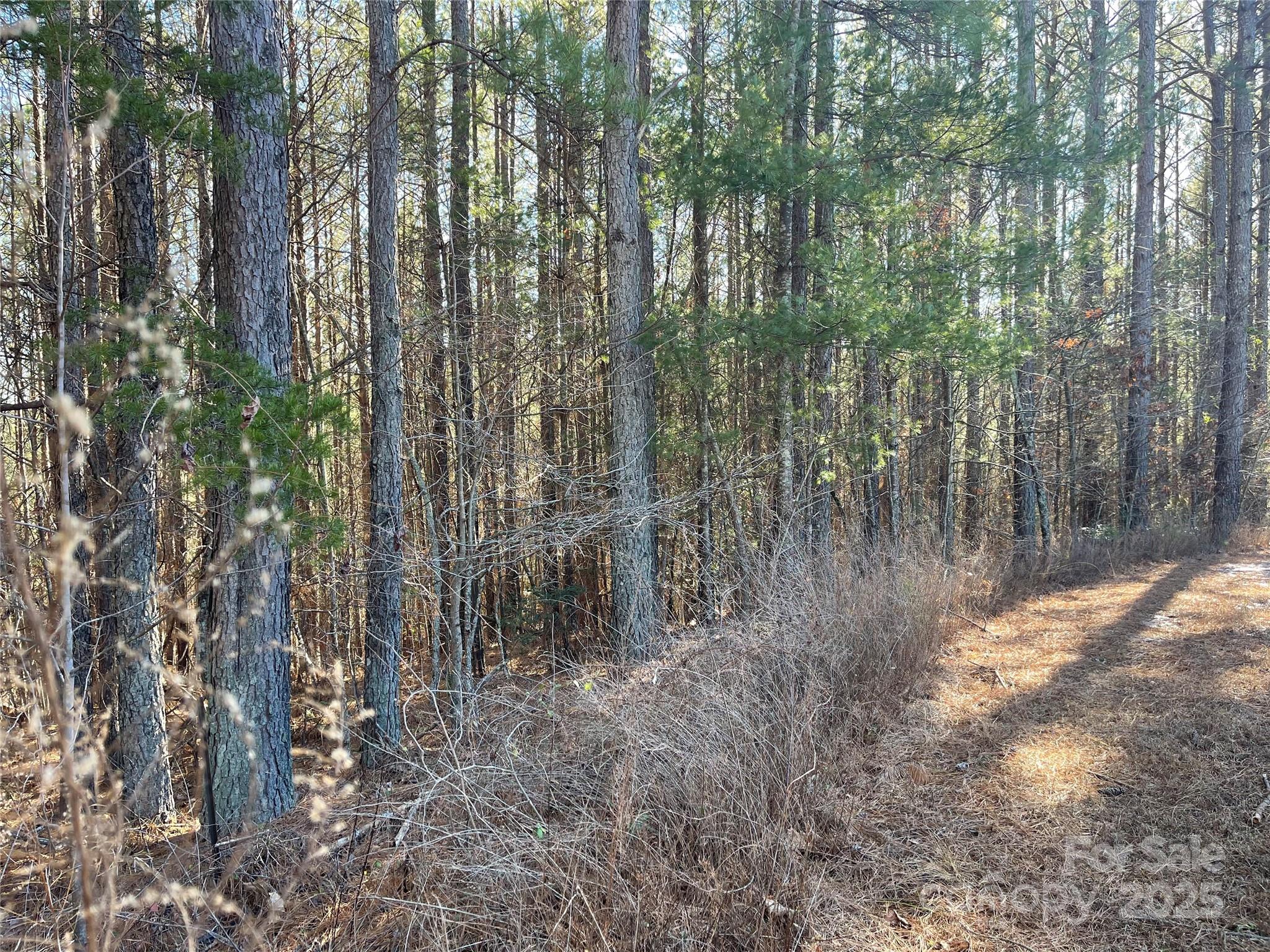 Actual lot. - 109 Shortoff Trail, Valdese