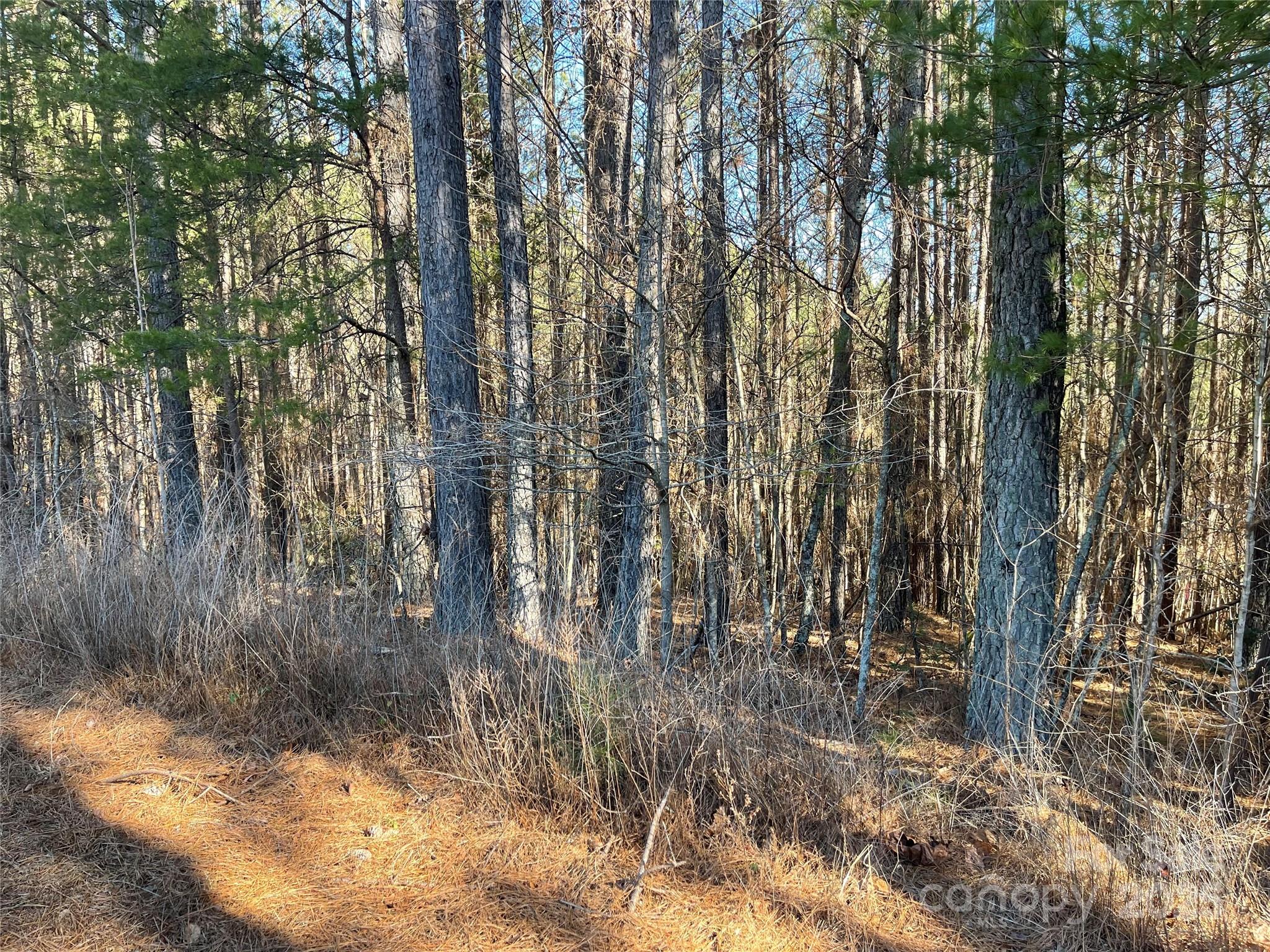 Actual lot. - 109 Shortoff Trail, Valdese