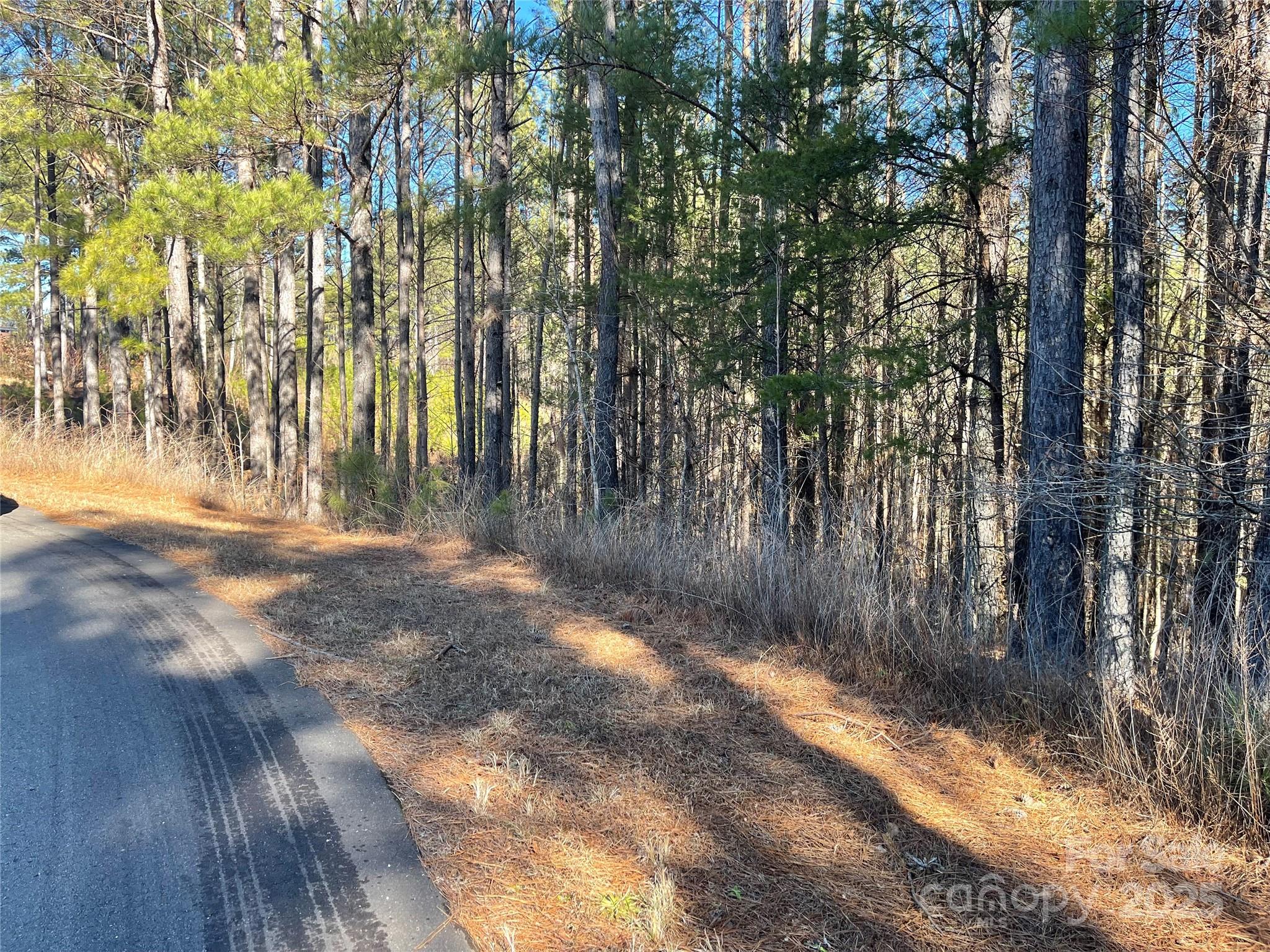 Actual lot. - 109 Shortoff Trail, Valdese