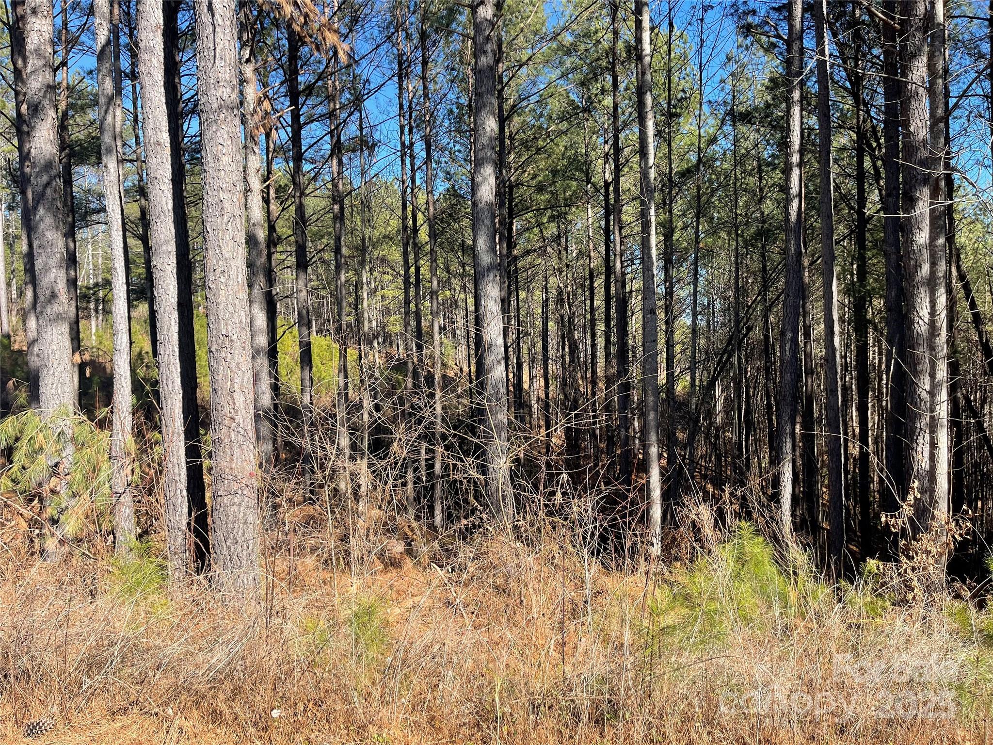 Actual lot. - 109 Shortoff Trail, Valdese
