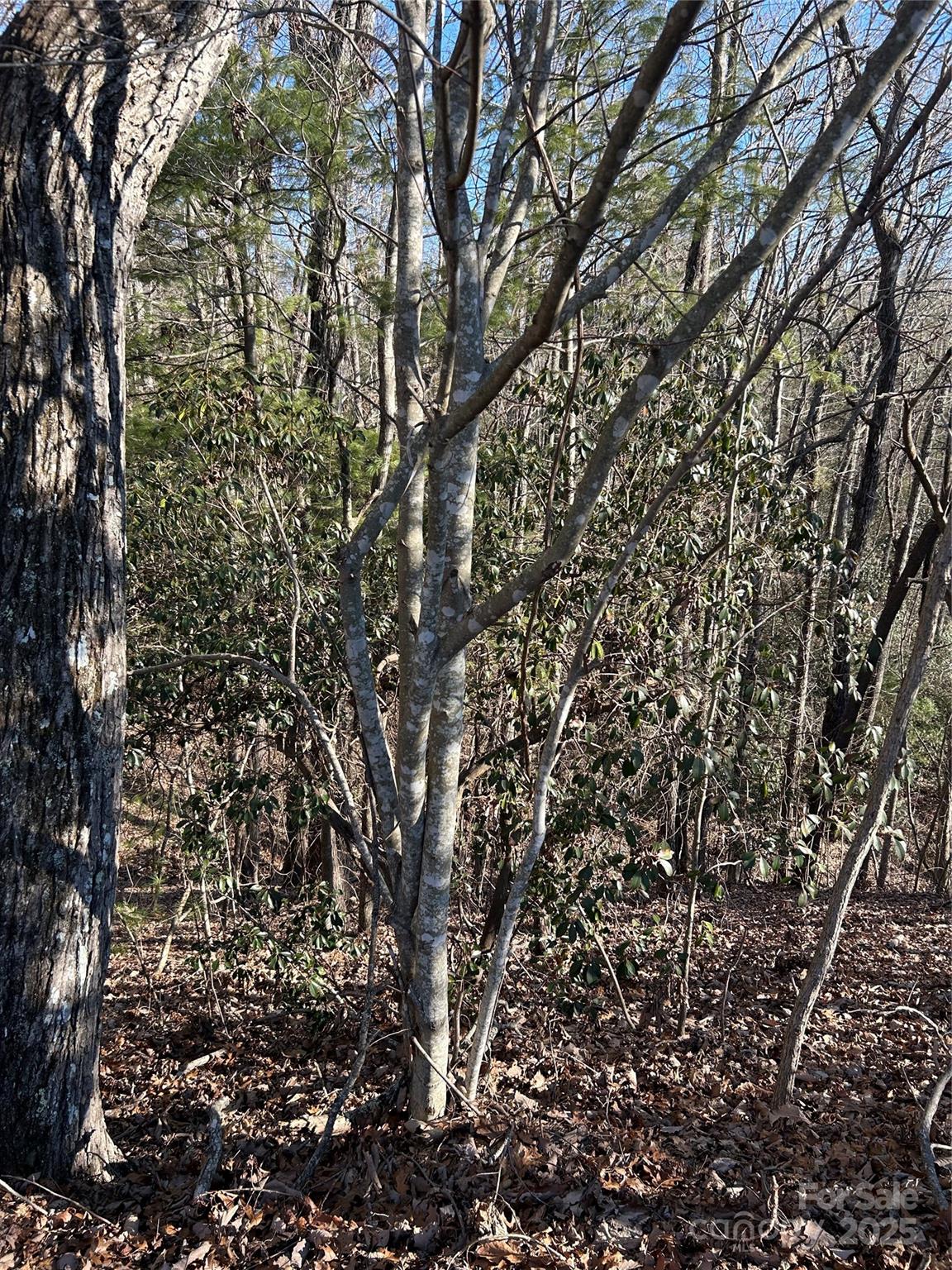 Lot at 210 Thistlewynd Trail, Hendersonville, photo 2 of 6