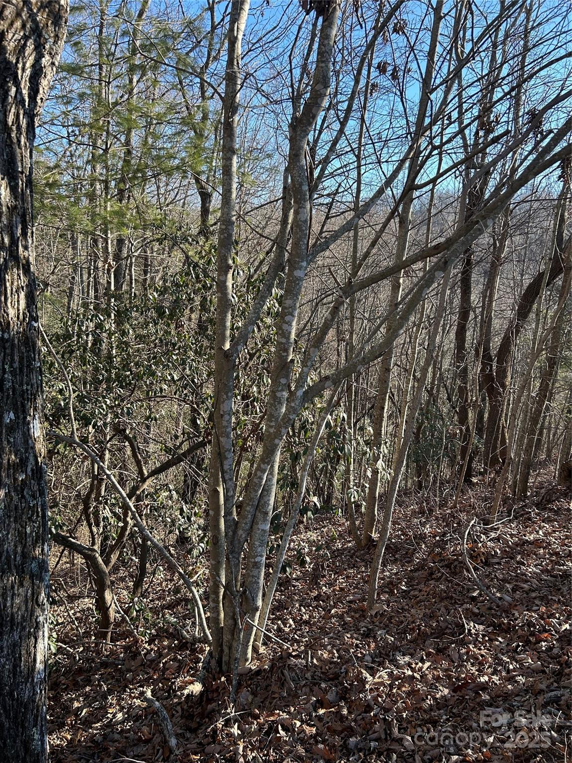 Lot at 210 Thistlewynd Trail, Hendersonville, photo 3 of 6
