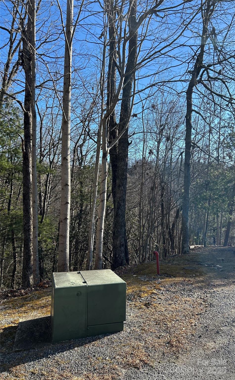 Lot at 210 Thistlewynd Trail, Hendersonville, photo 4 of 6
