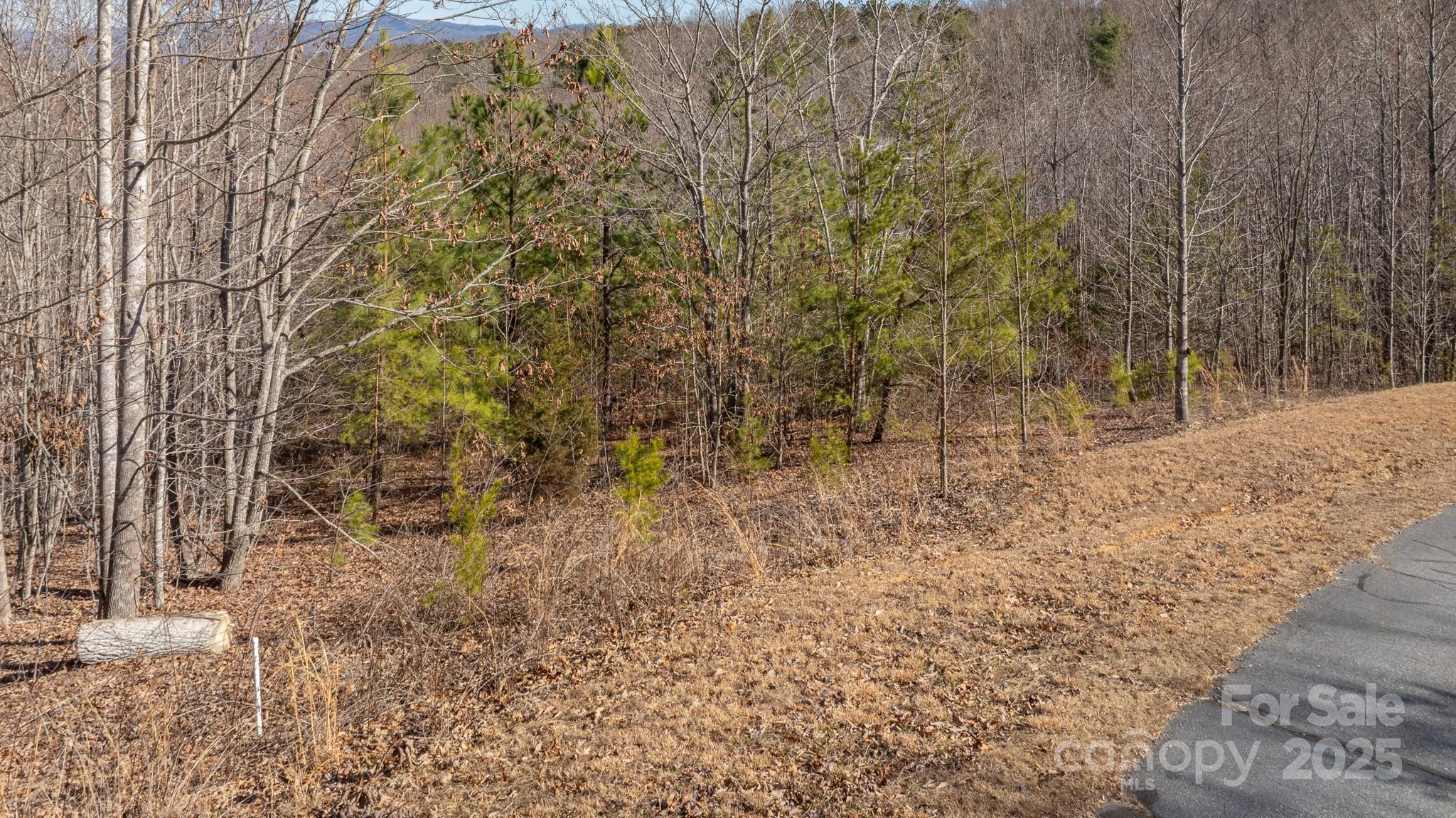Lot at TBD Coal Pit Mountain Road, Nebo, photo 2 of 46