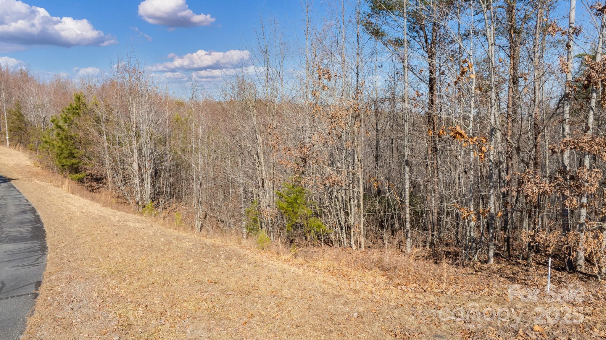 Lot at TBD Coal Pit Mountain Road, Nebo, photo 3 of 46
