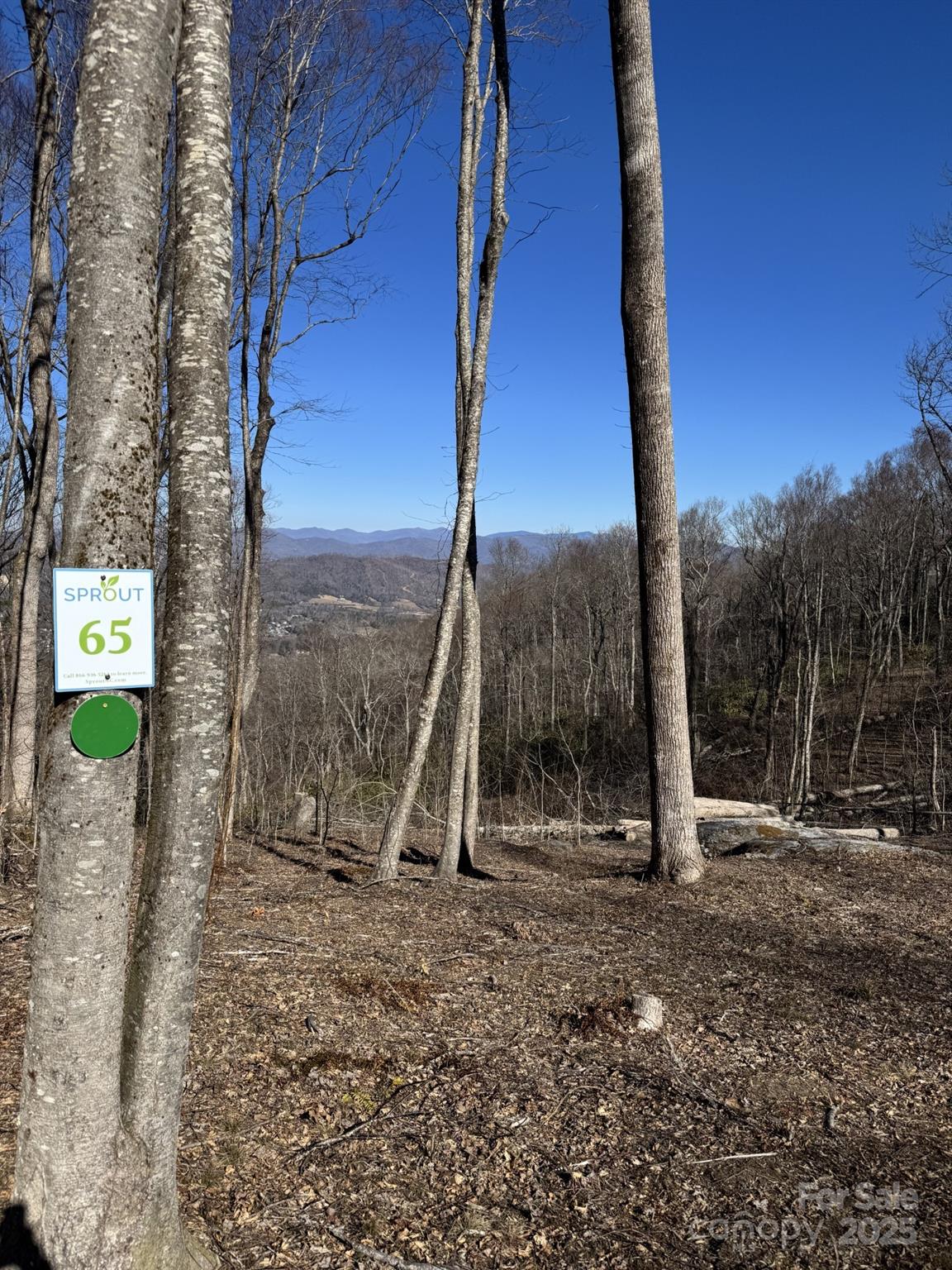 Lot at 0000 West Garden Trail, Hendersonville, photo 2 of 8