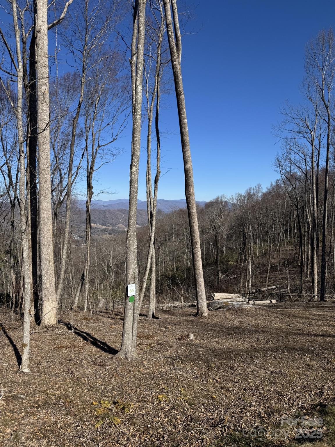 Lot at 0000 West Garden Trail, Hendersonville, photo 3 of 8