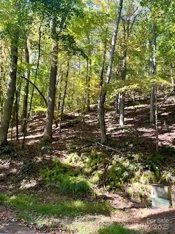 Lot at TBD Hickory Vista Lane, Mills River