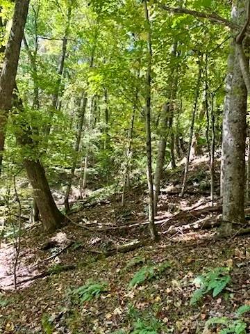Lot at TBD Hickory Vista Lane, Mills River, photo 5 of 13