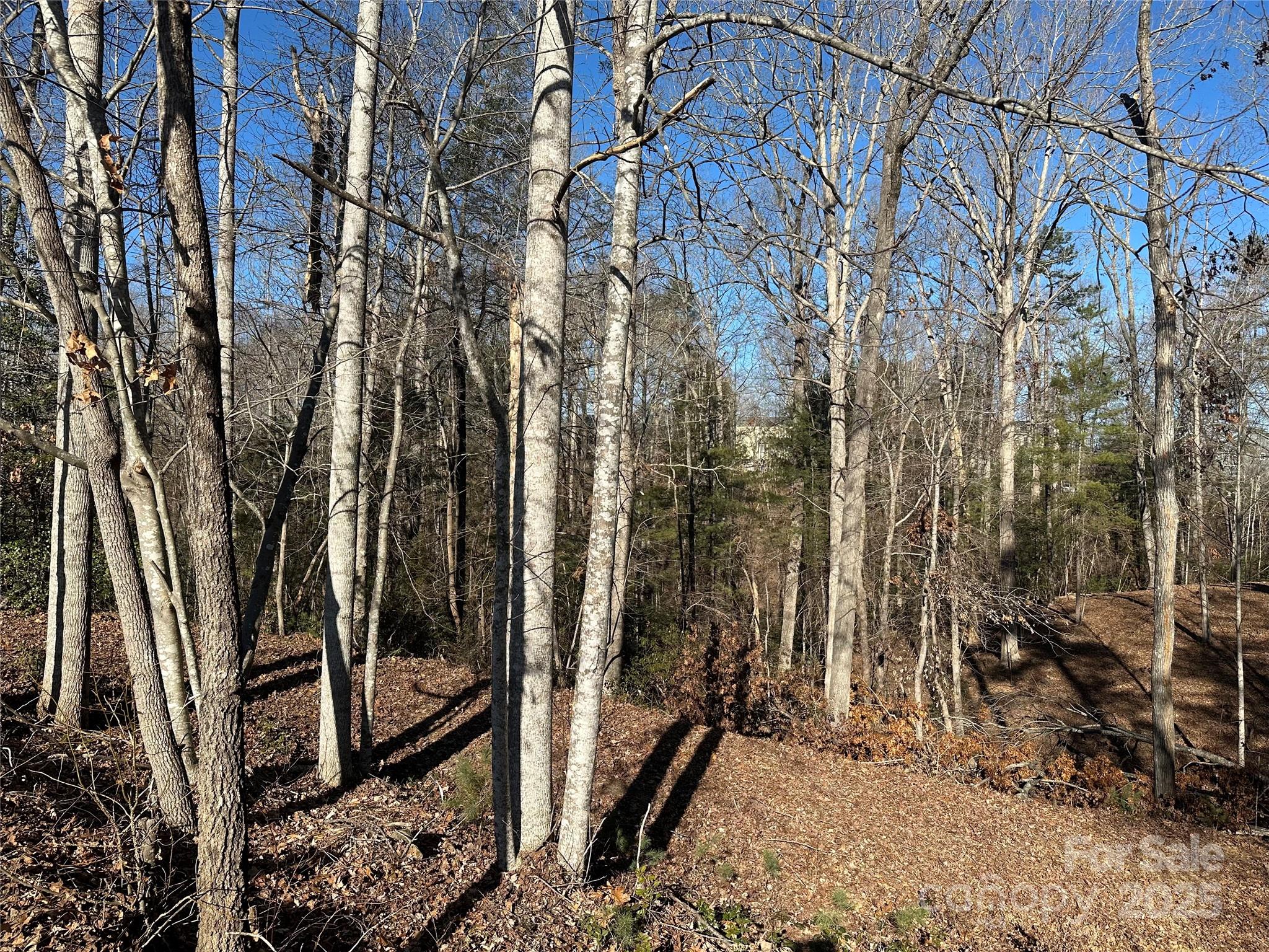 Lot at 1504 Brentwood Place, Morganton, photo 4 of 13