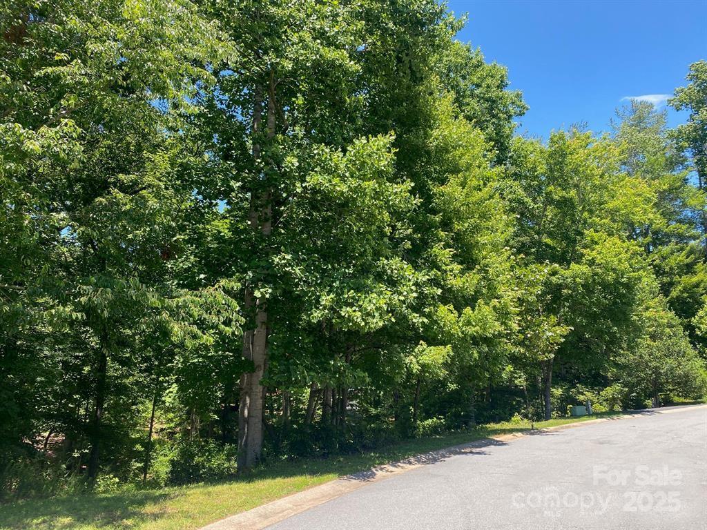 Lot at 1504 Brentwood Place, Morganton, photo 5 of 13