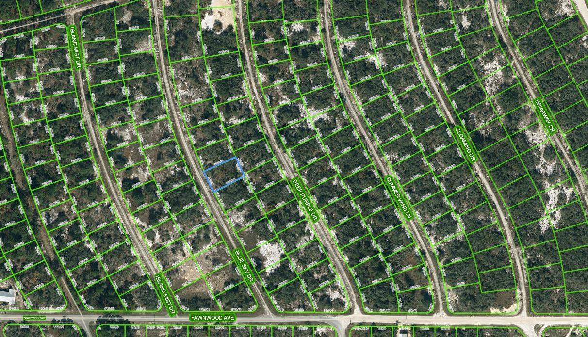 213 BLUE SKY DR
